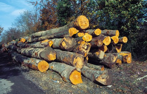 Fagor Grupo Mueble obtains FSC certification