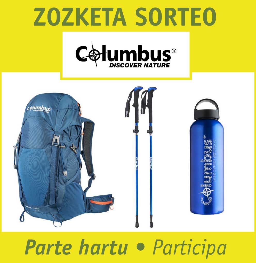 banner promo