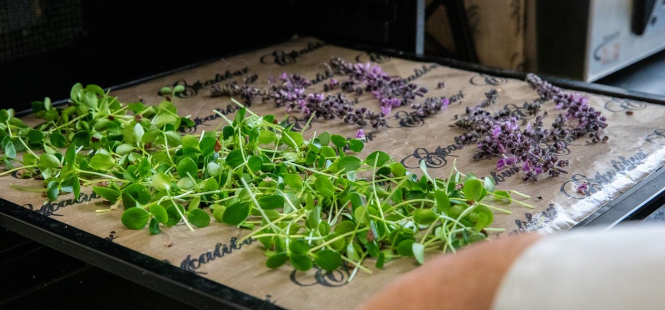 Basque Culinary Center potencia a cocineros que innovan con el producto local