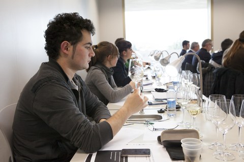 Basque Culinary Center presenta el primer máster en sumillería y enomarketing del Estado 
