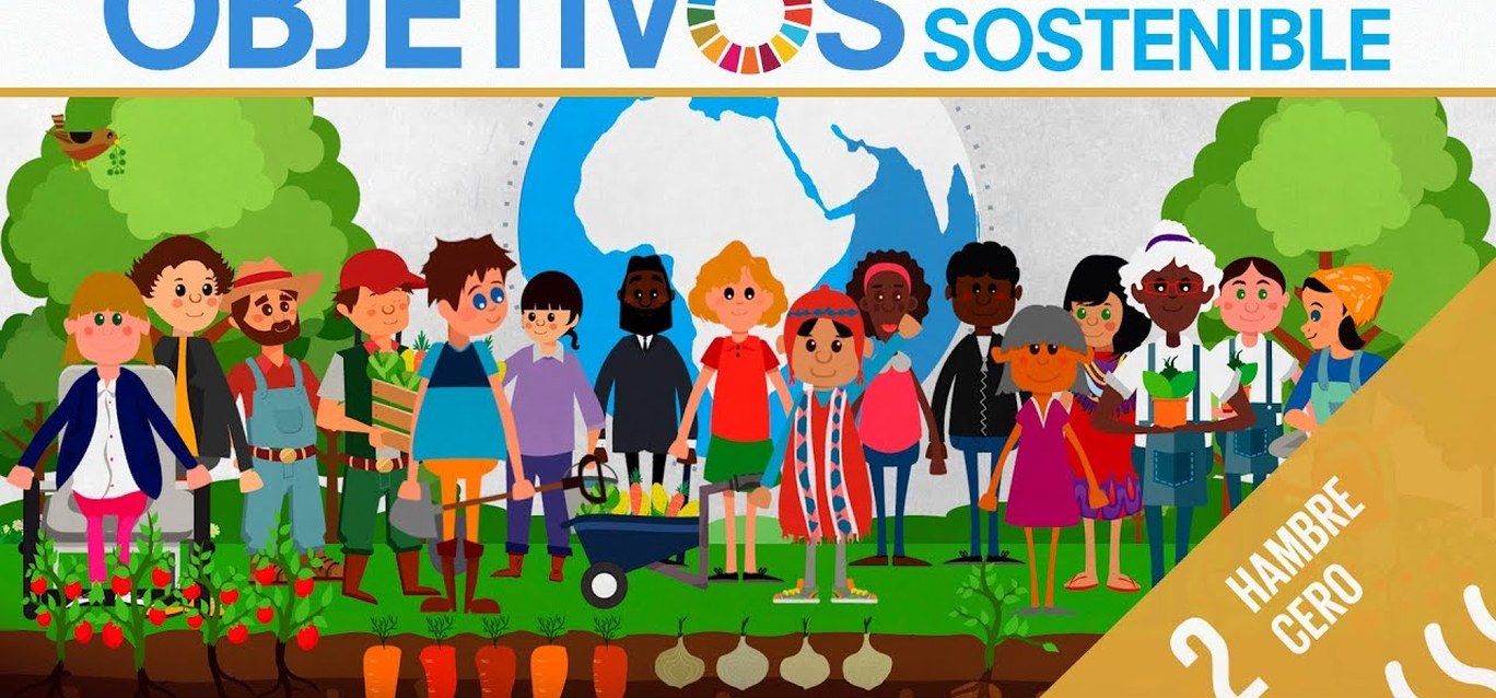 Hambre Cero en 2030: por qué nos alejamos de este objetivo