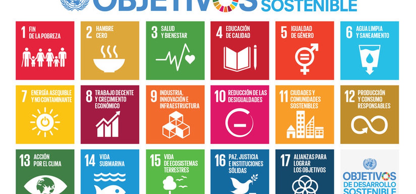 Incorporar las ODS en la gestión Incorporar las ODS en la gestión