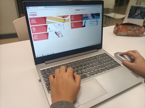 "En Euskaraldia, una nueva herramienta para aprender euskera"