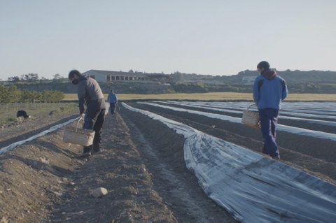 Fagor Herrigintza selecciona los proyectos a los que ayudará