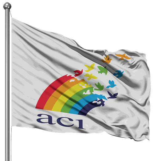 ACI-BANDERA.png ACI-BANDERA.png