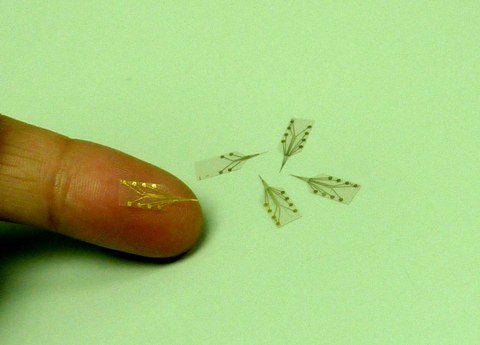 La empresa microLIQUID desarrolla microagujas para la investigación biomédica