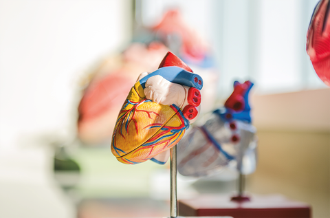 Leartiker colabora en el desarrollo de soluciones para tratar el infarto de miocardio