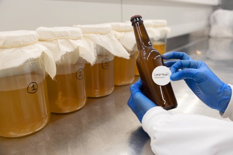 Leartiker impulsa un proyecto de investigación sobre la fermentación de los alimentos