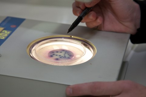 Leartiker organiza la tercera jornada "Polymers and Medical Aplications" en Markina-Xemein