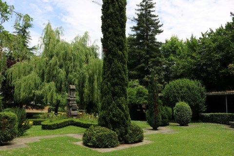 Mondragon Unibertsitatea da a conocer su joya botánica en el Día Mundial del Árbol
