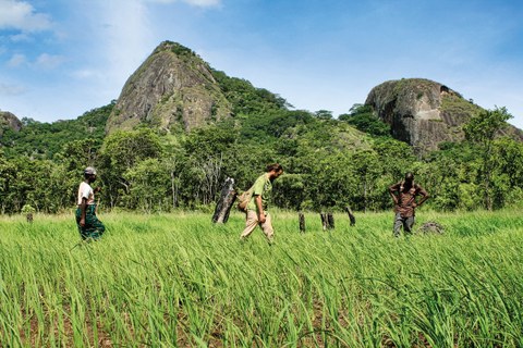 Mozambique: cuando la agricultura familiar cambia un país