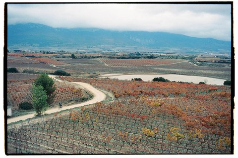 Nace la Orbea Gravel Rioja Alavesa, una aventura entre viñedos