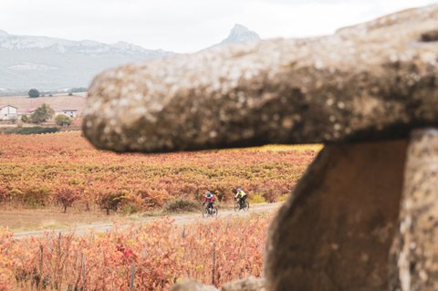 Orbea Gravel Rioja Alavesa: una travesía en un entorno único en el mundo