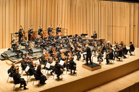 ¿Quieres asistir al concierto de la Orquesta de los Campos Elíseos?