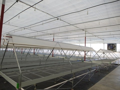 Ulma Agrícola implanta última tecnología en invernaderos de México