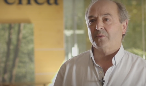 ENEA - Soluciones Integrales