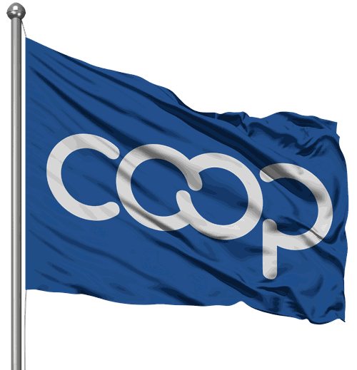 NUEVA-BANDERA.png