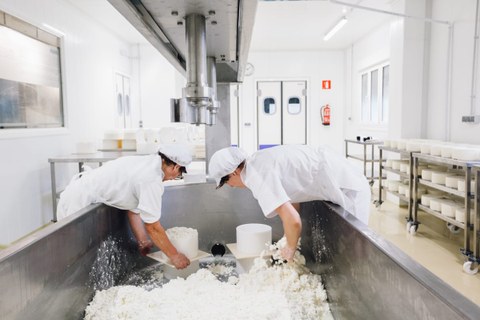 Elikagaien industriaren erronkei buruzko jardunaldia Leartikerren