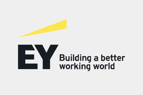 Ernst & Young-ek MONDRAGON eredu hartu du