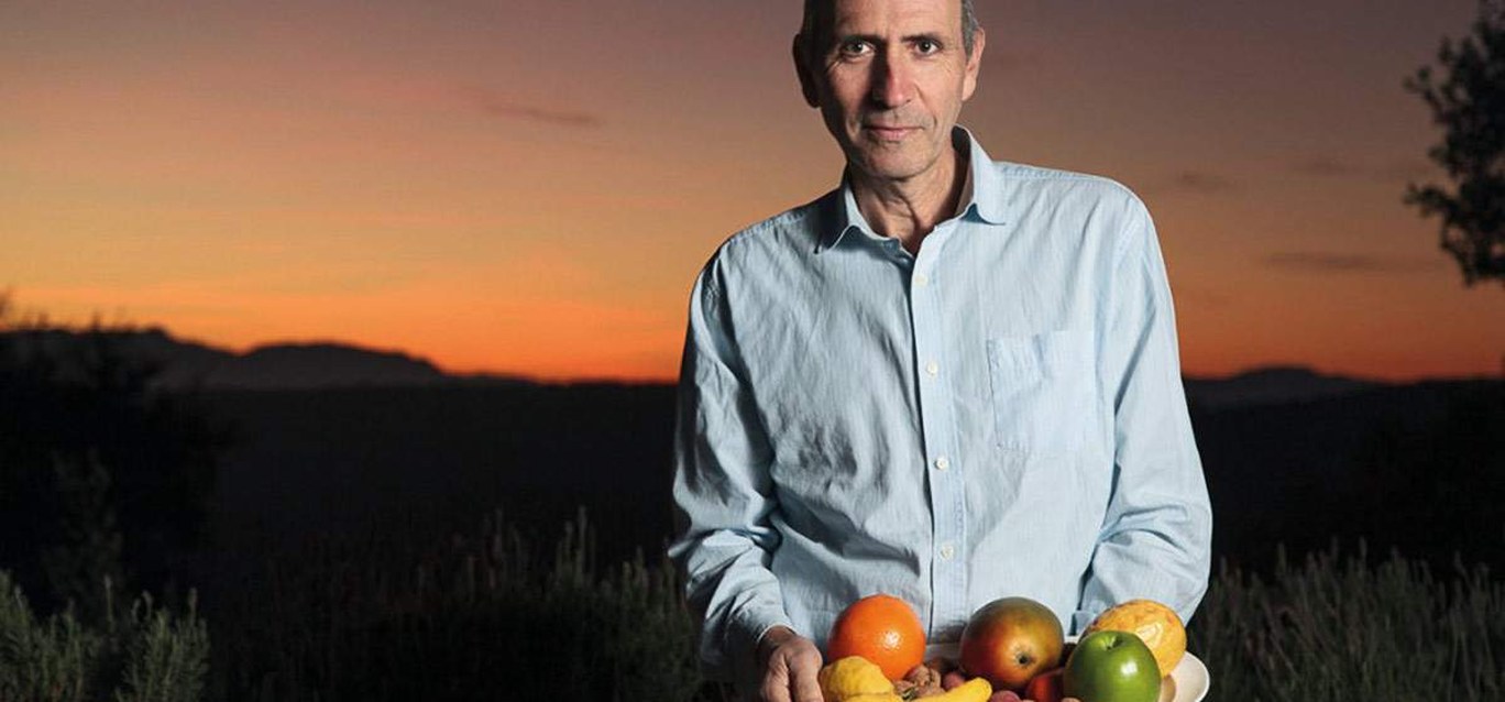 "Kilo bat galletak euro bat balio du eta 4.000 kaloria ditu; tomate batek ere euro bat balio du, baina 200 kcal ditu" "Kilo bat galletak euro bat balio du eta 4.000 kaloria ditu; tomate batek ere euro bat balio du, baina 200 kcal ditu"