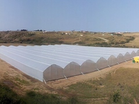 Ulma Agricolak obra garrantzitsuak gauzatu ditu Afrika kontinentean